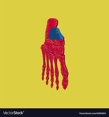 Flat shading style icon foot skeleton vector image
