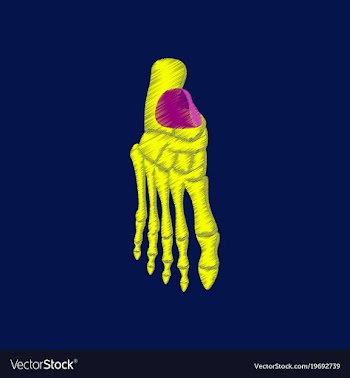 Flat shading style icon foot skeleton vector image