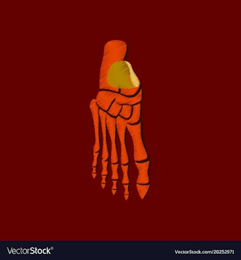 Flat shading style icon foot skeleton vector image