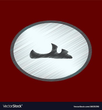 Flat shading style icon footwear flip flops vector image