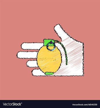 Flat shading style icon frag grenade in hand vector image