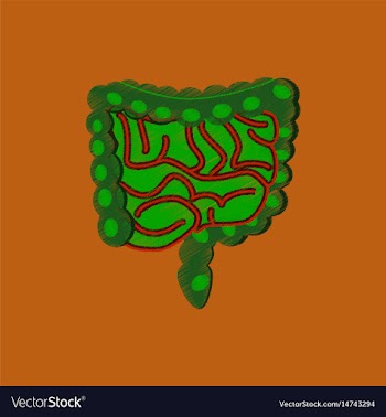 Flat shading style icon gastrointestinal tract vector image