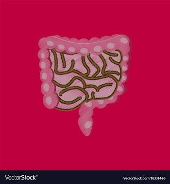 Flat shading style icon gastrointestinal tract vector image