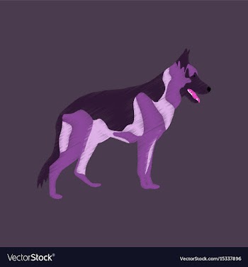 Flat shading style icon german shepherd vector image