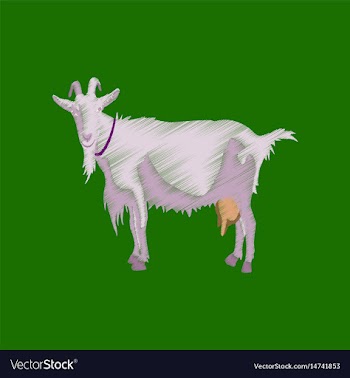 Flat shading style icon goat vector image