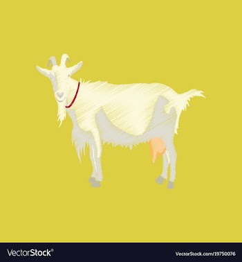 Flat shading style icon goat vector image