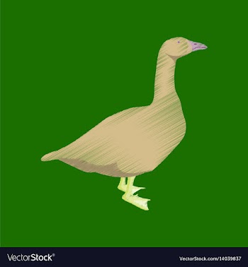 Flat shading style icon goose vector image