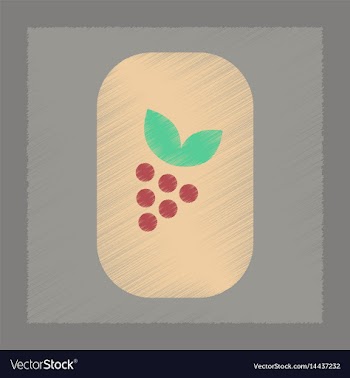 Flat shading style icon grapes with leaf vector image