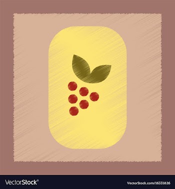 Flat shading style icon grapes with leaf vector image