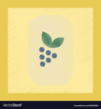 Flat shading style icon grapes with leaf vector image