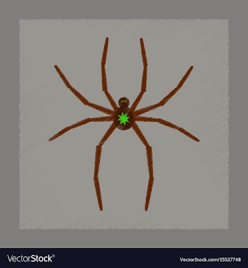 Flat shading style icon halloween spider vector image