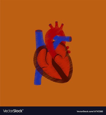 Flat shading style icon heart vector image
