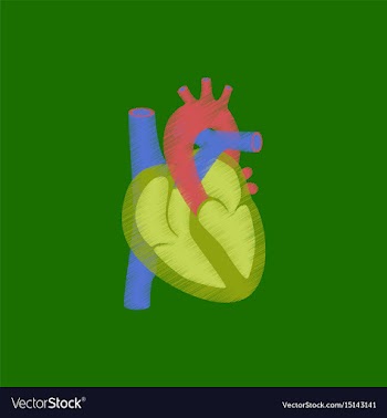 Flat shading style icon heart vector image