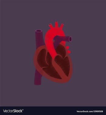 Flat shading style icon heart vector image