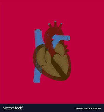 Flat shading style icon heart vector image