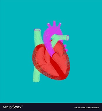 Flat shading style icon heart vector image