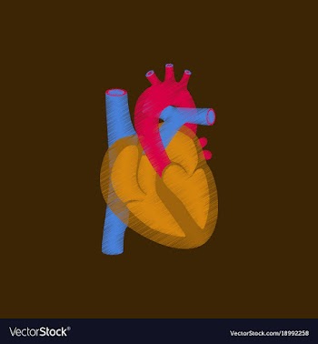 Flat shading style icon heart vector image