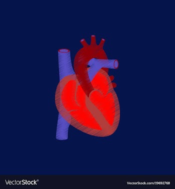 Flat shading style icon heart vector image