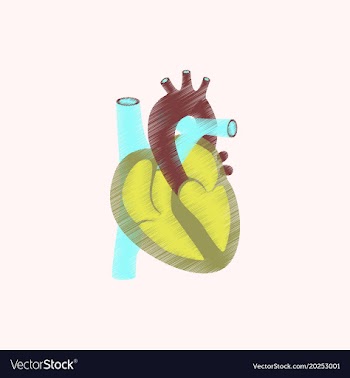 Flat shading style icon heart vector image