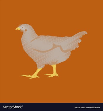 Flat shading style icon hen vector image
