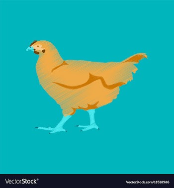 Flat shading style icon hen vector image