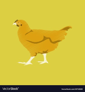 Flat shading style icon hen vector image