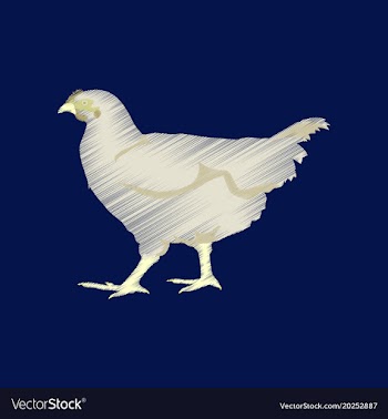 Flat shading style icon hen vector image
