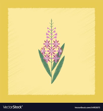 Flat shading style icon herbal chamerion vector image