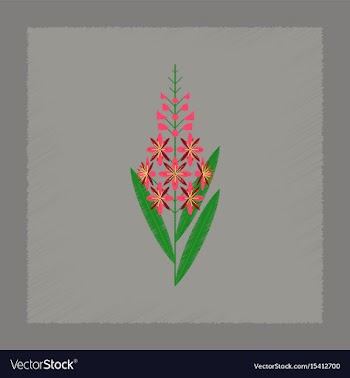 Flat shading style icon herbal chamerion vector image