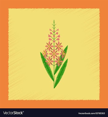 Flat shading style icon herbal chamerion vector image