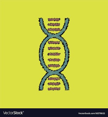 Flat shading style icon human dna vector image