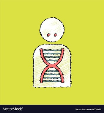 Flat shading style icon human dna vector image