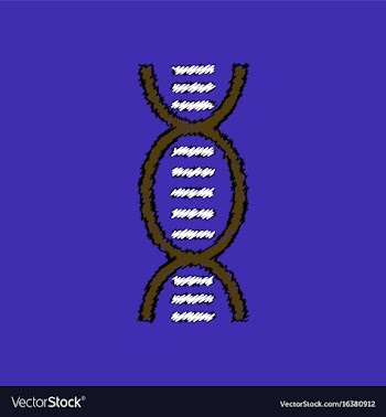 Flat shading style icon human dna vector image