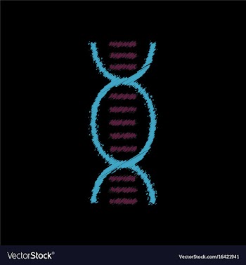 Flat shading style icon human dna vector image