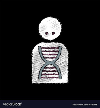 Flat shading style icon human dna vector image