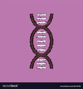 Flat shading style icon human dna vector image