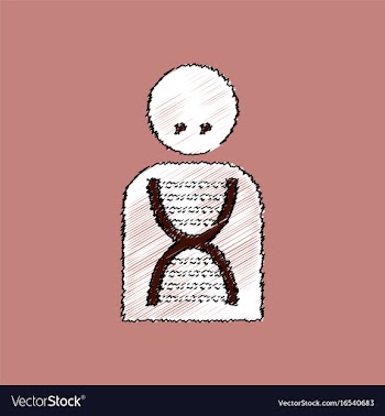 Flat shading style icon human dna vector image