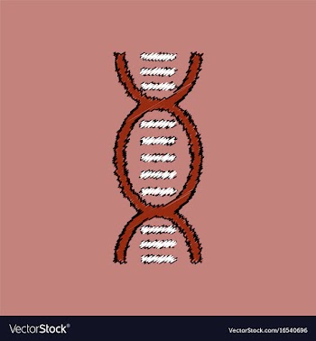 Flat shading style icon human dna vector image