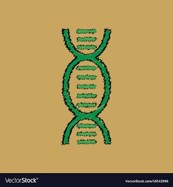 Flat shading style icon human dna vector image