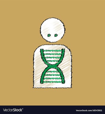 Flat shading style icon human dna vector image