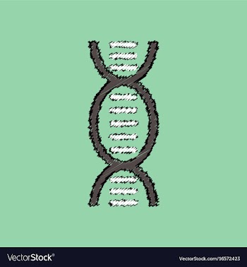 Flat shading style icon human dna vector image