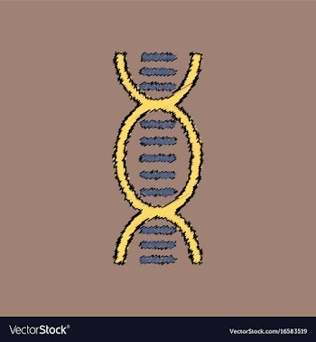 Flat shading style icon human dna vector image