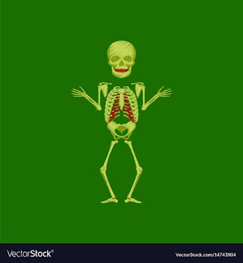 Flat shading style icon human skeleton vector image