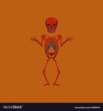 Flat shading style icon human skeleton vector image