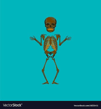 Flat shading style icon human skeleton vector image