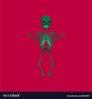 Flat shading style icon human skeleton vector image