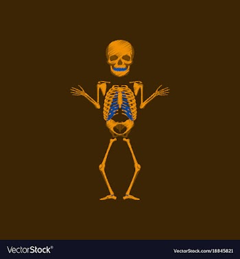 Flat shading style icon human skeleton vector image
