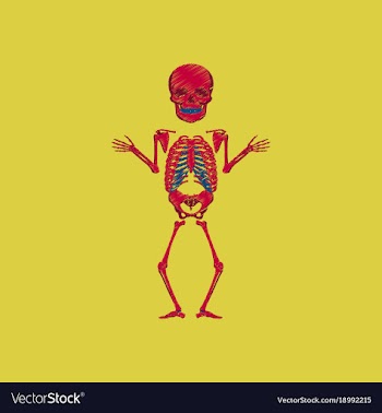 Flat shading style icon human skeleton vector image