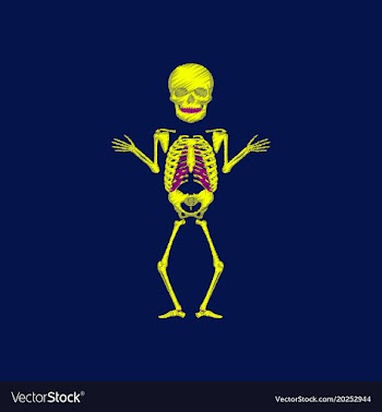 Flat shading style icon human skeleton vector image