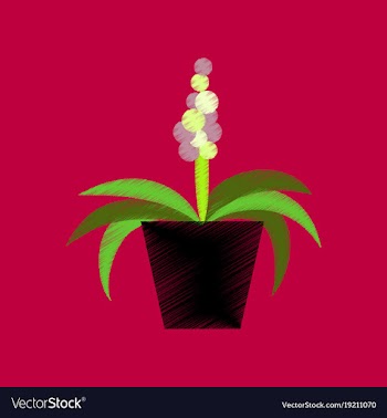 Flat shading style icon hyacinth vector image